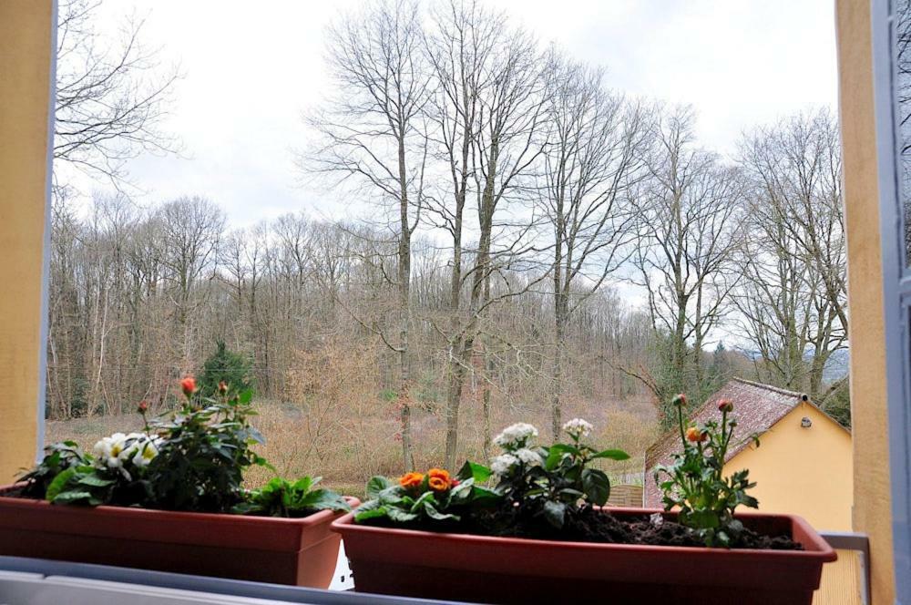 Cherreau Au Jardin De Lisa B&B 외부 사진